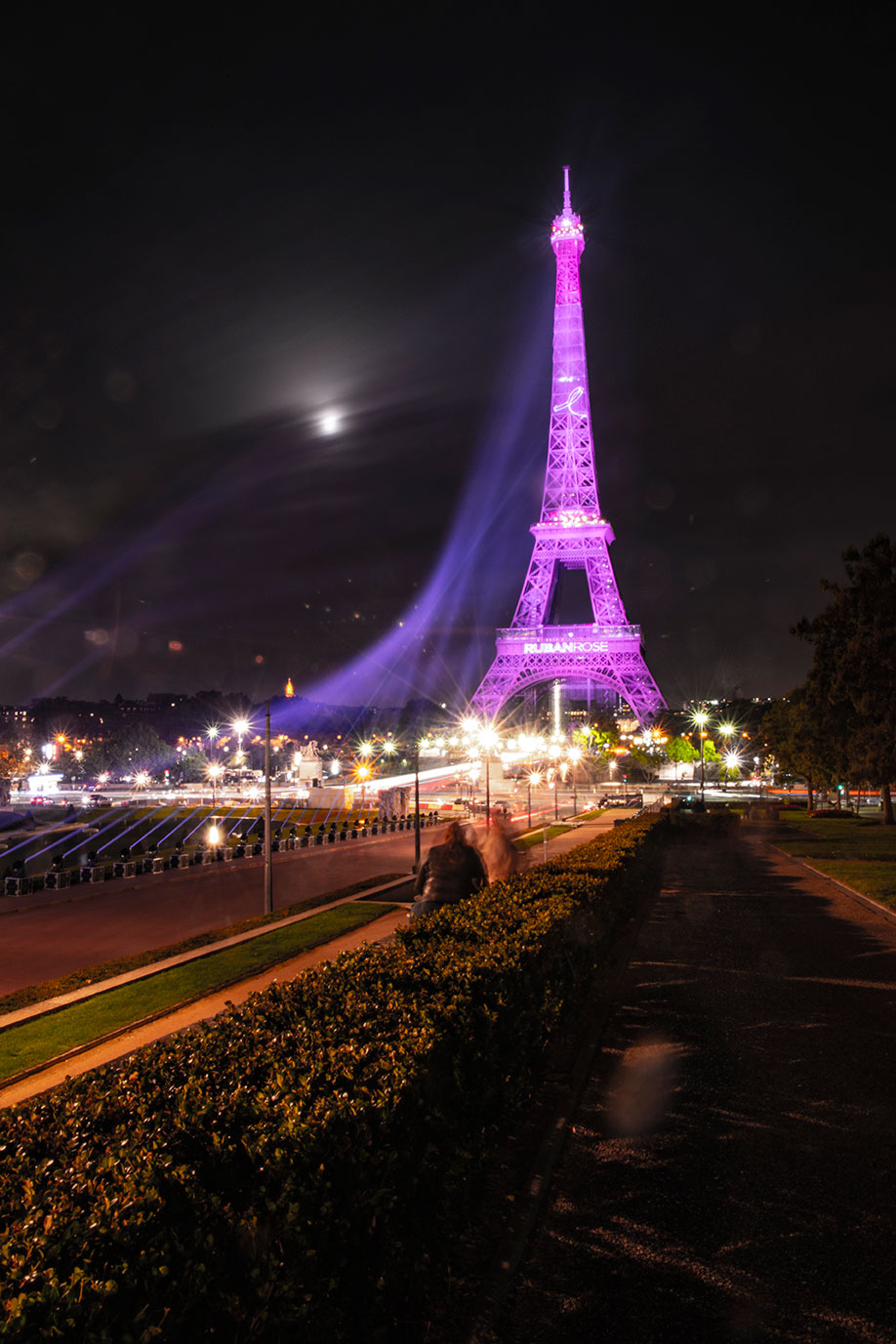 Trocadero garden, Tour Eiffel, Pink October 2020, Paris, France, Nos Dren