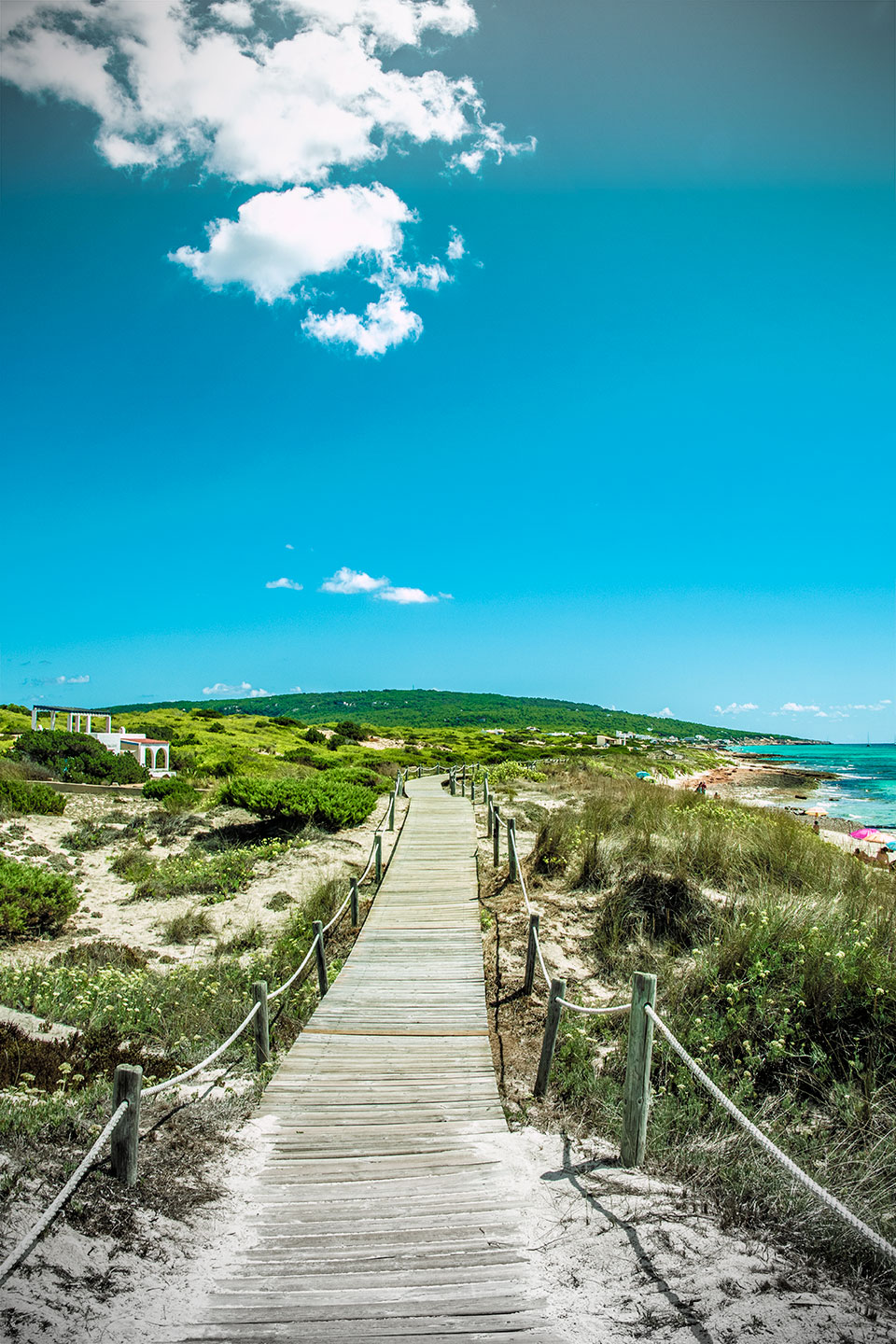 Path at Es Cavall d'en Borras beach, Formentera, (Nos Dren).