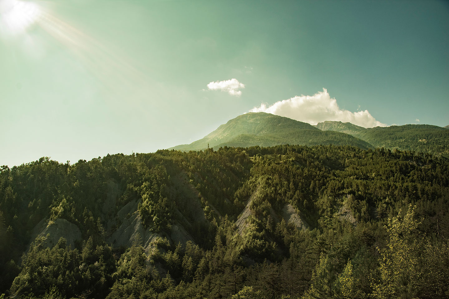 Mont Guillaume, Embrun, Hautes-Alpes, France, (Nos Dren).