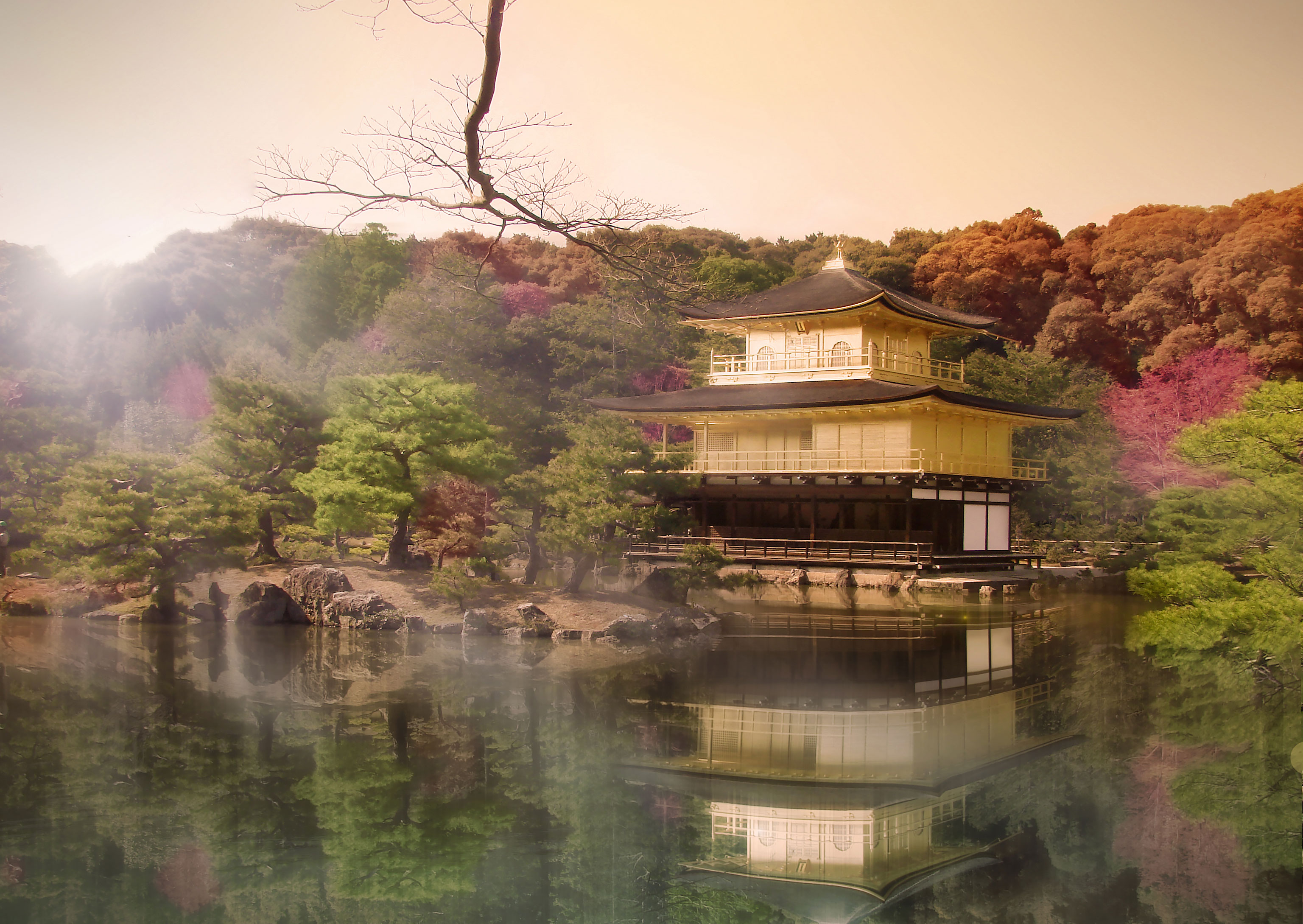 The Golden Pavilion of Kyoto or the Deer Garden Temple of Kyoto by sunset and nice color of the nature around, (Nos Dren)