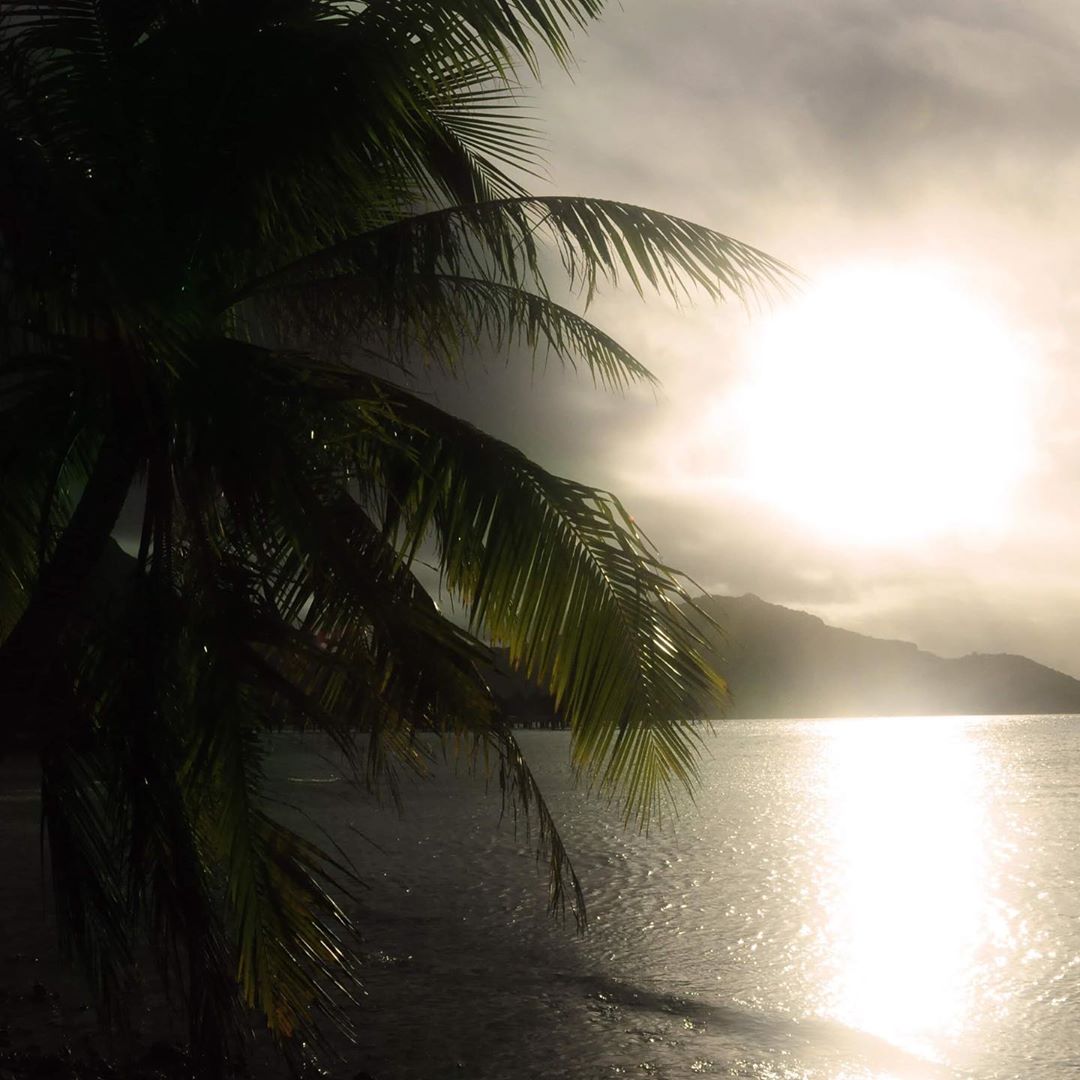 French Polynesia, Bora Bora island, backlight on sunset with high constrast on a palm tree and Mount Otemanu. (Nos Dren)