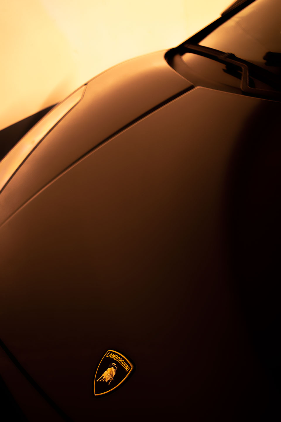 Lamborghini Huracán LP640-4 photograph