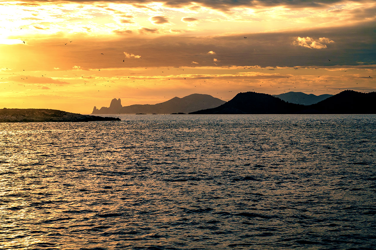 Ibiza, Isla de es Vedra from the sea with many birds by sunset, Balearic Islands, Catalonia, Spain. (Nos Dren).