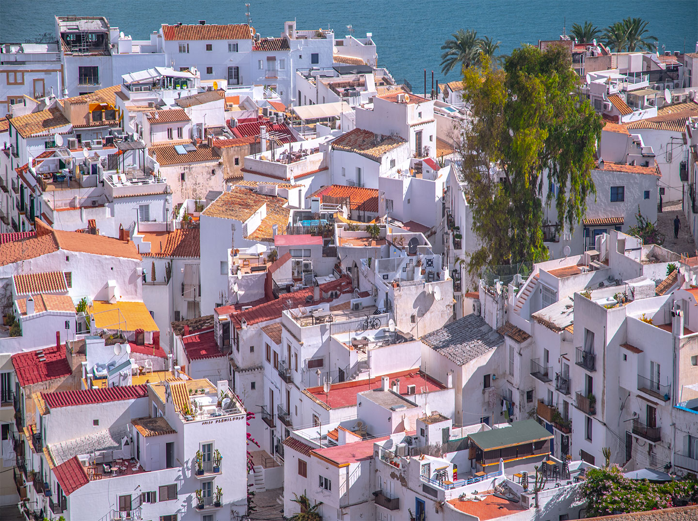 White houses and rooftop of Ibiza city, Catalonia, Spain. (Nos Dren).