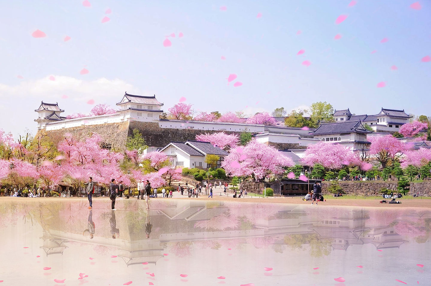 Walls of the fortress of the White Heron Castle in Himeji, Kyoto, under cherry blossoms, water mirror and hanami