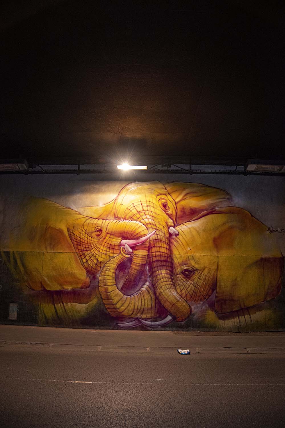 Wandering in Paris, 2022