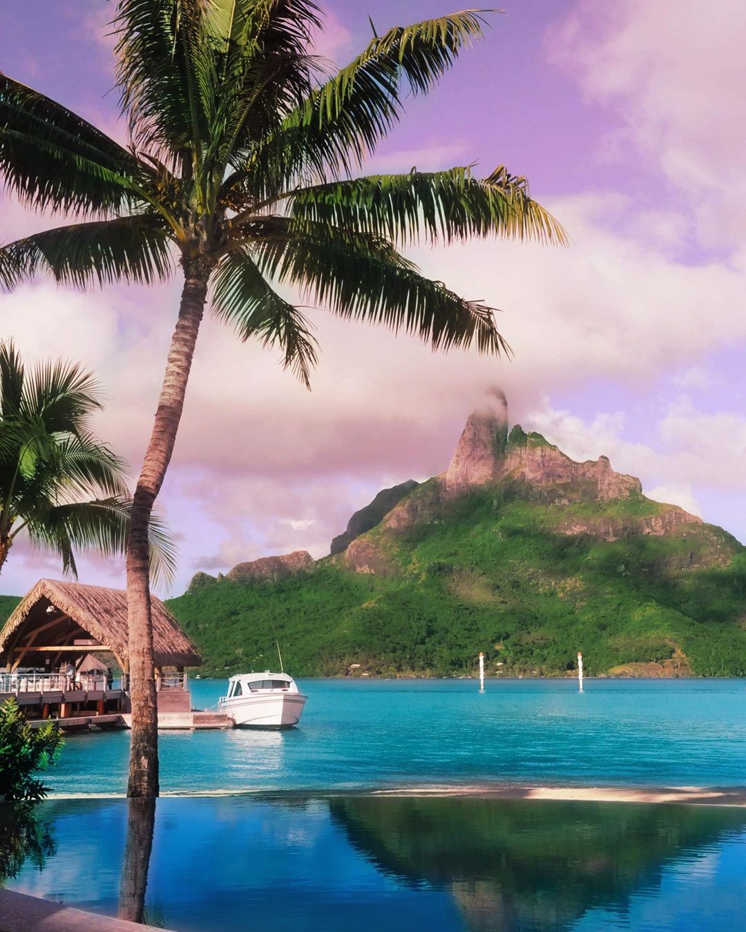 French Polynesia, Bora Bora island, view from the pool in Le Meridien Bora Hotel harbor with Mount Otemanu in the background, palm tree and boat ahead. (Nos Dren)