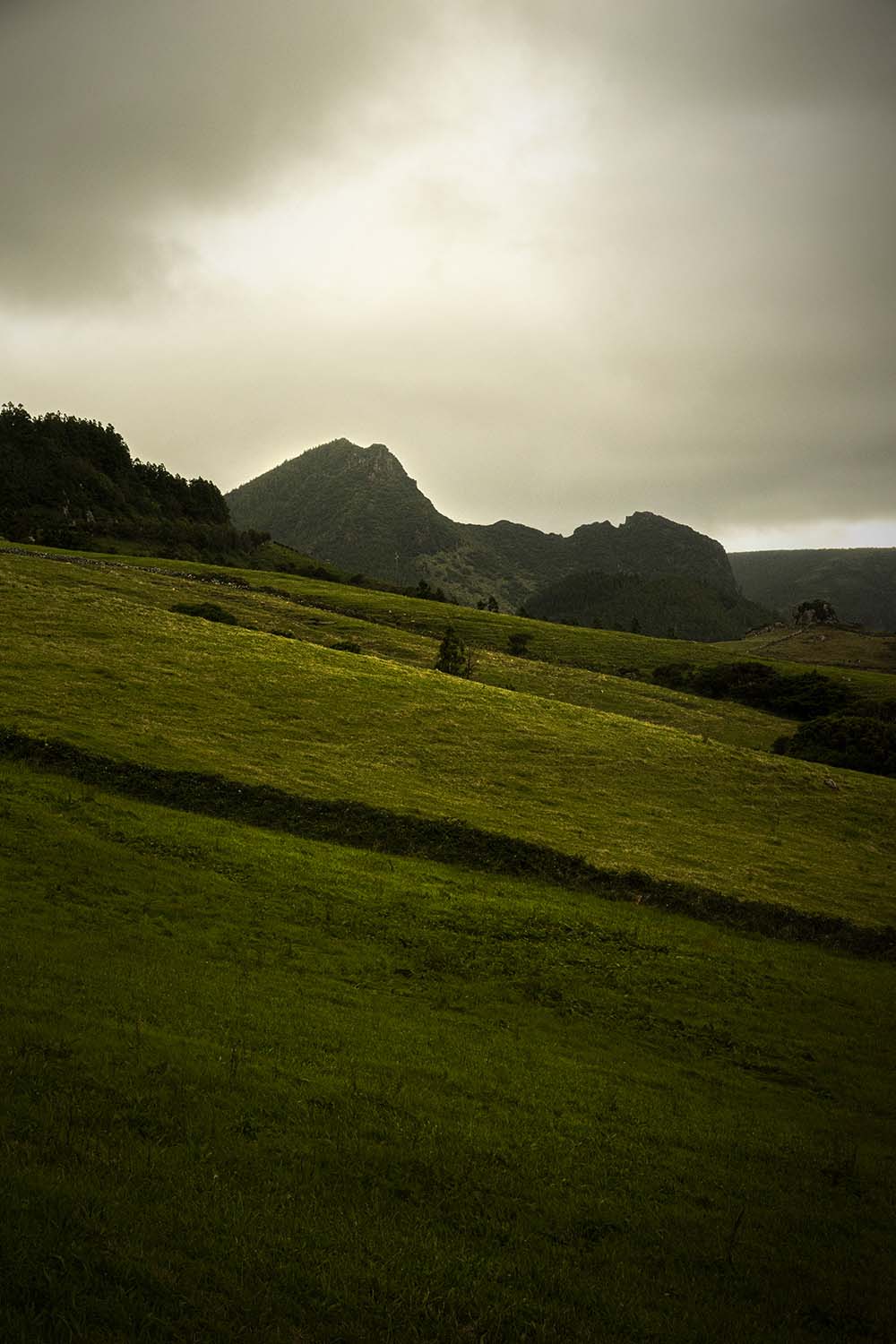 Flores, Azores, Portugal 2022