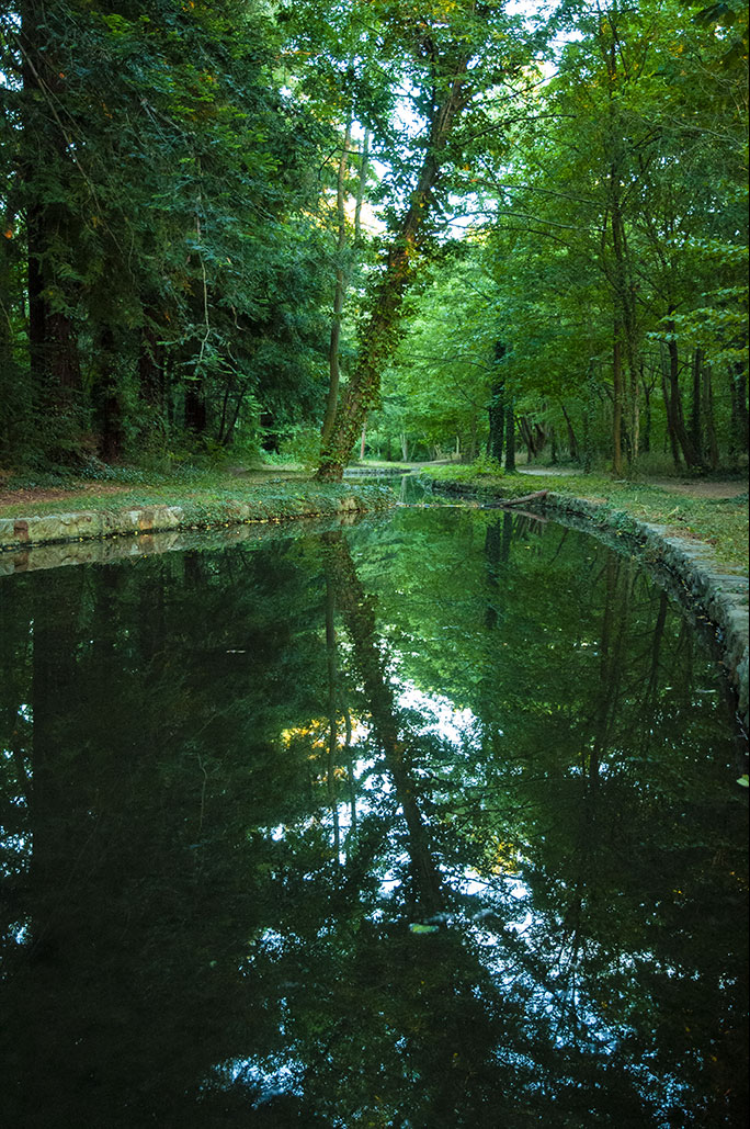 Green forest of Bois de Boulogne, Nos Dren